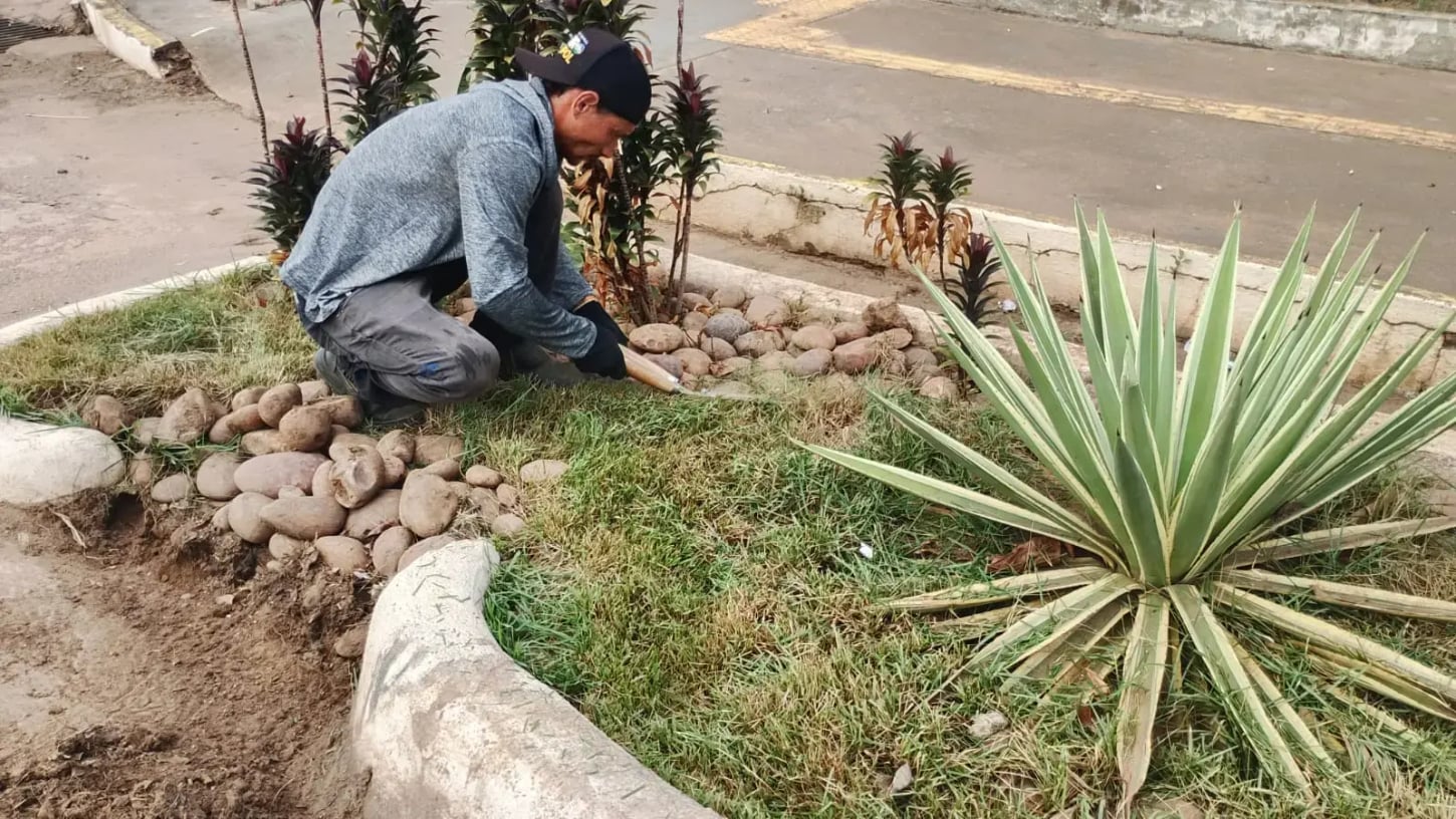 Início da manutenção periódica dos jardins de chuva em Porto Velho