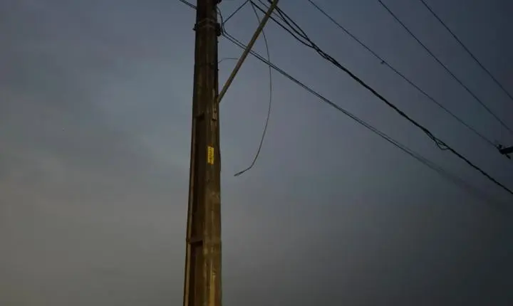 Edimilson Dourado pede poda de árvores na Zona Sul para prevenir quedas e interrupções no fornecimento de energia