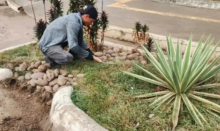 Início da manutenção periódica dos jardins de chuva em Porto Velho