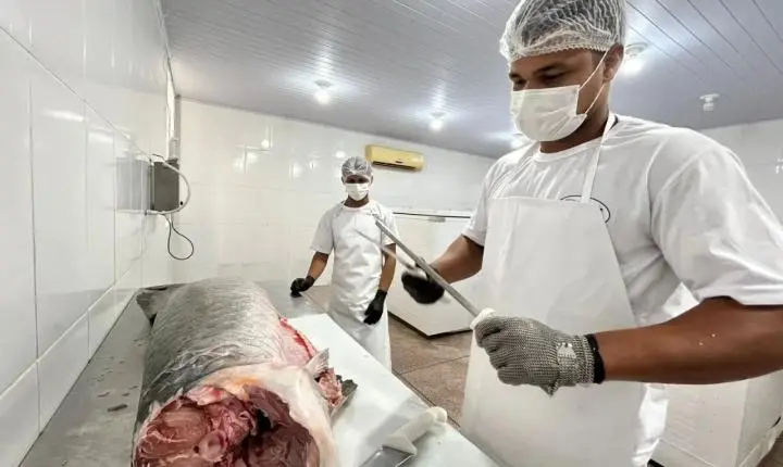 Regularização pelo SIM potencializa agroindústrias em Porto Velho