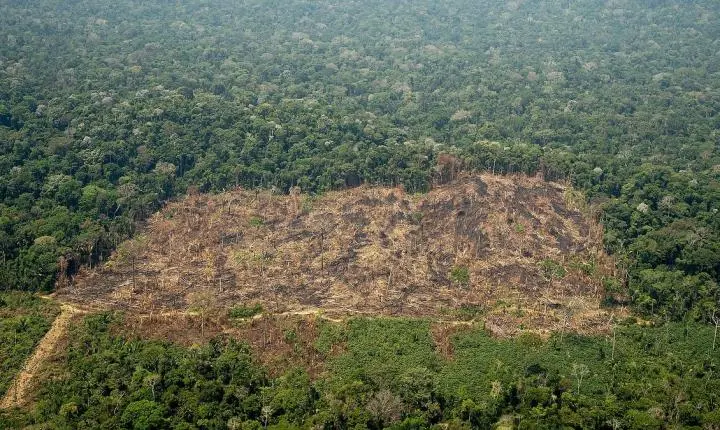 Violência contra povos indígenas em Rondônia: ameaças, terra e o preço da resistência